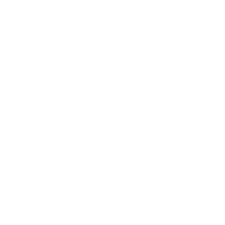 Bossbus